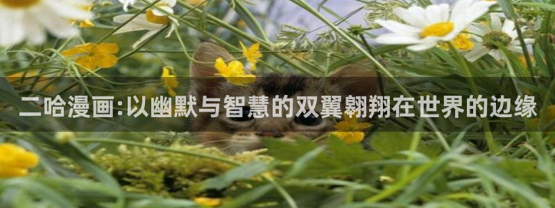 香香漫画免费阅读下拉式